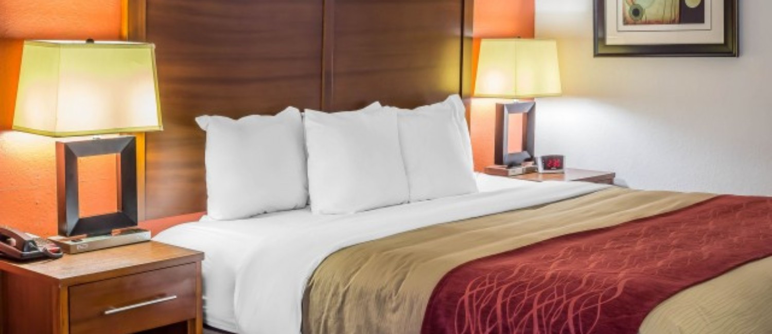 Relax In Our Thoughtfully Designed Rooms With All The Necessary Amenities