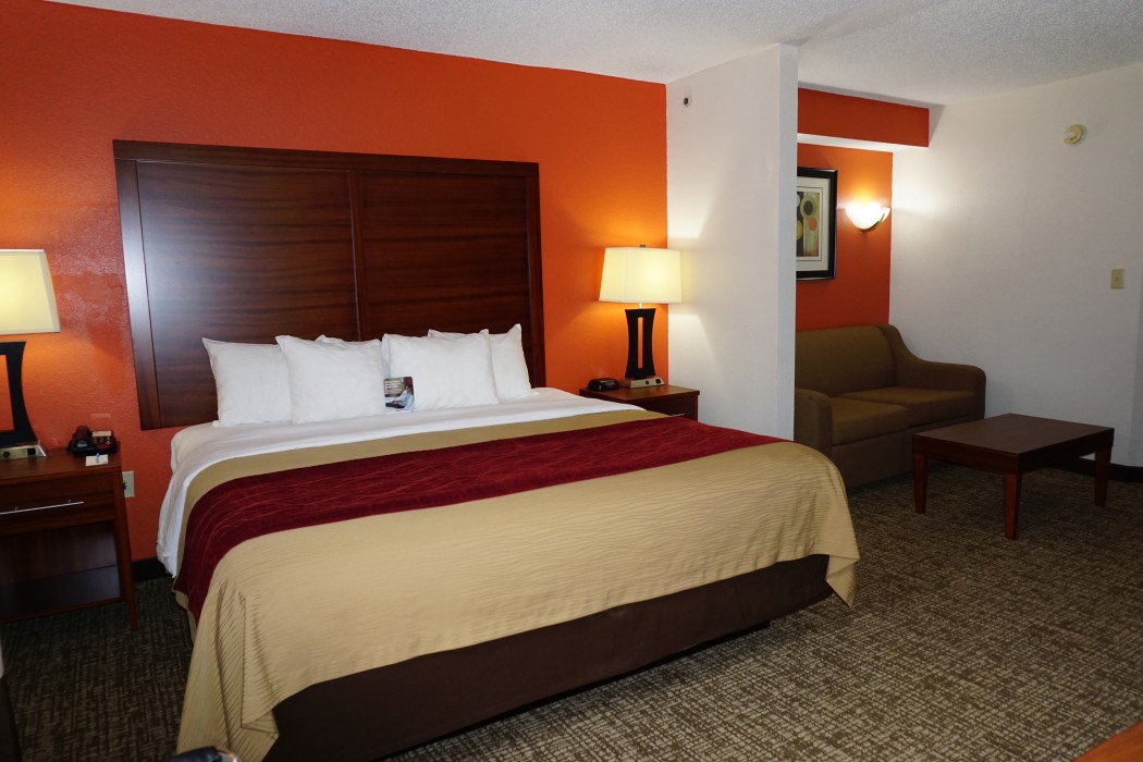 Non-smoking King Suite
