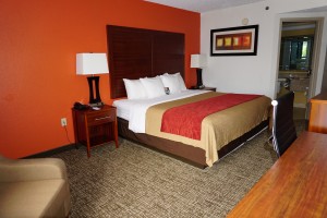 Newly Renovated Comfort Inn - King Room