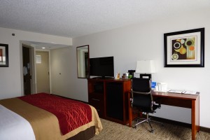 Newly Renovated Comfort Inn - King Room