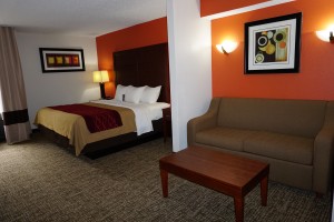 Newly Renovated Comfort Inn - King Room