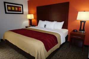 Newly Renovated Comfort Inn - King Room