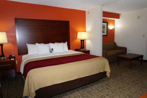 Newly Renovated Comfort Inn - King Room