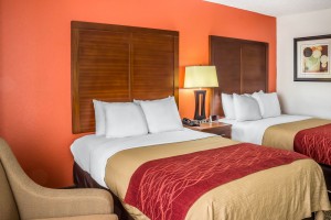Newly Renovated Comfort Inn - Double beds