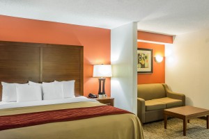 Newly Renovated Comfort Inn - King Suite