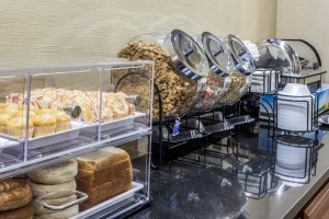 Newly Renovated Comfort Inn - Breakfast