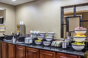 Newly Renovated Comfort Inn - Breakfast