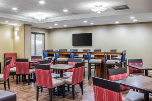Newly Renovated Comfort Inn - Lobby