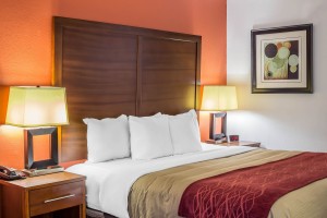 Newly Renovated Comfort Inn - King Room