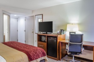 Newly Renovated Comfort Inn - King Suite